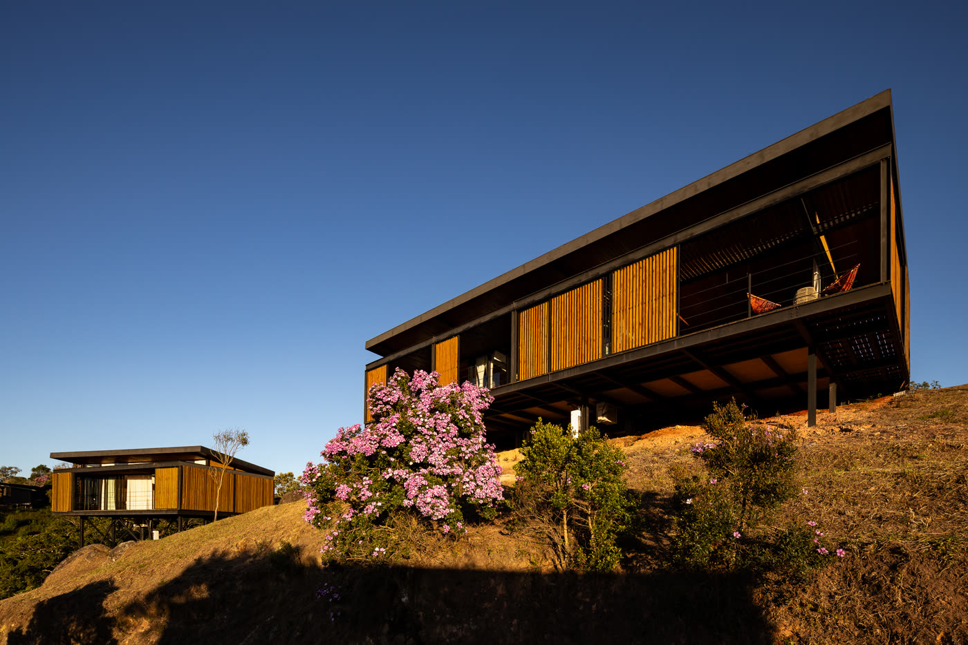 A Casa da Pedra Vermelha inteira na luz dourada, com a quaresmeira florida em primeiro plano